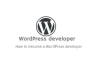 become a WordPress developer